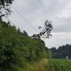 THL Unwetter